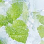 Menthol Liquid Pg Concentrate - 100ML