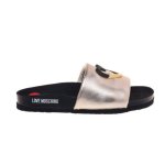 Heart Logo Slides -platinum