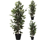 Plant In Pot 95CM 2ASS Design