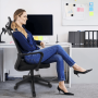 Adjustable Height Meshergo Office Chair With Headrest