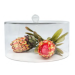 Glass Dome Straight Sided Dome 17CM H X 31CM W - 17CM H X 31CM W