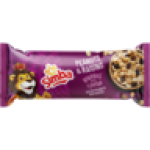 Salted Peanuts & Raisins 60G