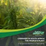 Fields Of Green For All - A Full-spectrum Manifesto For Policy Reform