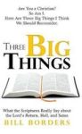 Three Big Things Hardcover
