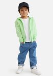 Zip-through Hoodie - Sage