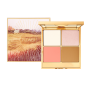 Iced Salmon Glam Glow Highlighter And Bronzer Palette