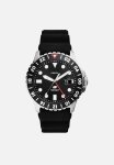 Fossil Bule - Silver & Black