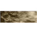 Luxury Gold Wall Art Canvas Print 700 X 1500