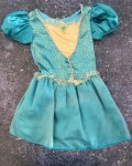 Blue And Gold Princess Dress 2 3Y