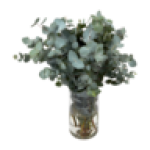 Fillers Mix Bunch Vase Not Included