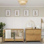 Cataleya Cot & Compactum