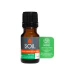 SOiL Focus Organic Essential Oil Blend – Invigorating Mix