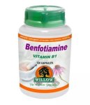 Willow - Benfotiamine Vit B1 100MG 120 Capsules