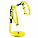 CAT Rogz Z 11MM Alley Reflective Lead And H-harness Combination Dayglo Yellow Waggs Pet Shop