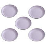 Zgwansui 5 Pack Wheat Straw 6 Inch Plates Small Dinner Plates Round Dishes With Raised Edge Reusable Salad Plates Set Unbreakabl