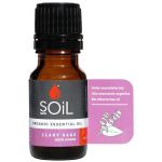 Sage Soil-clary Essential Oil 10ML