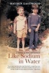 Like Sodium In Water - A Memoir Of Home And Heartache Paperback