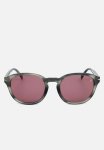 David Beckham Sunglasses -grey Horn Parallel Import