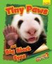 Whose Little Baby Are You? - Finy Paws And Big Black Eyes   Paperback