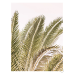 Oasis Palm 1 Art Print - A4