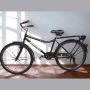 Unisex Pyramid Bicycle With Rear Carrier & Kickstand