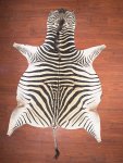 A Grade Zebra Hide 021 L