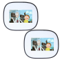 Car Sun Shades - Cartoon - Rick And Morty Adventure