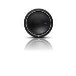 Rockford Fosgate P1S4-10 Punch 10 P1 4-OHM Svc Subwoofer