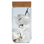 Sq Jar With Wooden Lid 2.1L
