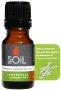 Lemongrass Essential Oil 10ML