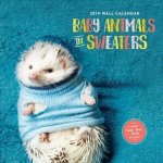 Baby Animals In Sweaters 2019 Wall Calendar