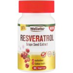 Wellvita Resveratrol 30 Capsules