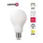 LED Filament Bulb A70 E27 18W 2452LM Ww