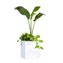 Modul Planter - Textured White / Large