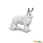 Wildlife Arctic Hare