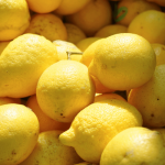 Lisbon Lemon Tree 50LT