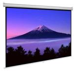 Projector Screen With Remote 120-INCH
