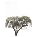 Horizon View Art Print - Premium Stretched Canvas A4