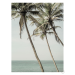 Sun Kissed Art Print - A3