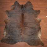Aa Grade Cow Hide 403 Tricolour XL - Extra Large Tricolour Bridle