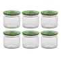 Fancy Jars - Premium 6-PIECE Glass Storage Jar Set With Peacock Design Lids