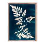 Seven Years Fern I Art Print - A3