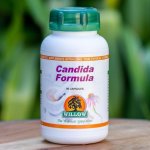 Candida Formula 90 Capsules Willow