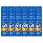 Rani Float Pineapple Flavoured Juice 30X240ML