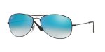 Ray Ban RB3362 Cockpit