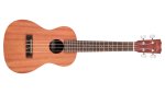 Cordoba UP100 Ukulele Pack With Travel Bag
