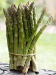 Asparagus UC157 F2 Hybrid Seed - 2 G Raw Seed