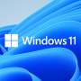 Microsoft Windows 11 Home 64-BIT Int Lang -dvd. KW9-00632