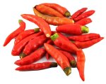 Sandveld Seeds Bird's Eye Chilli