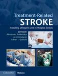 Treatment-related Stroke - Including Iatrogenic And In-hospital Strokes Hardcover